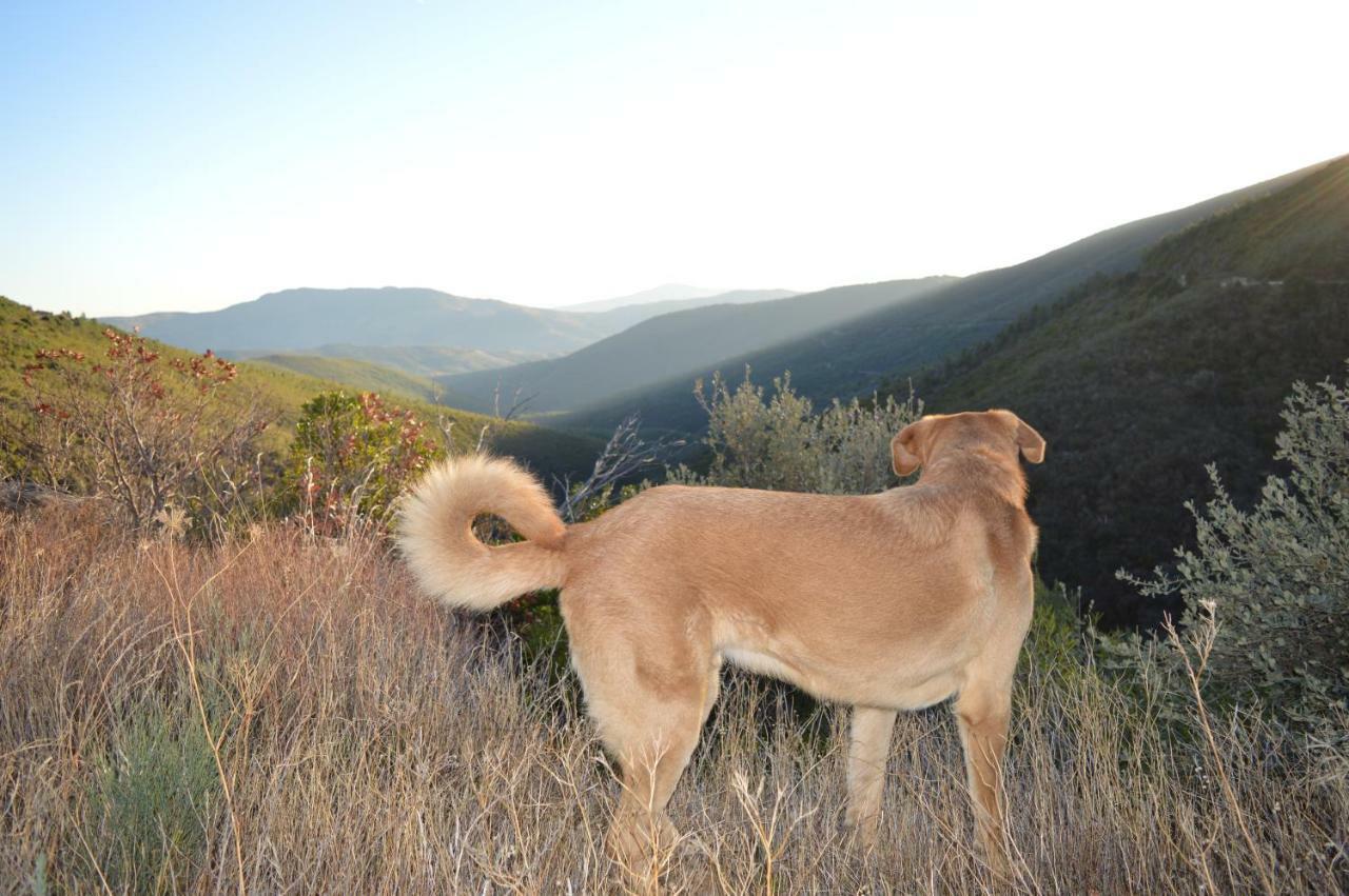Las Estrébedes Casa Rural Affittacamere Caminomorisco Esterno foto